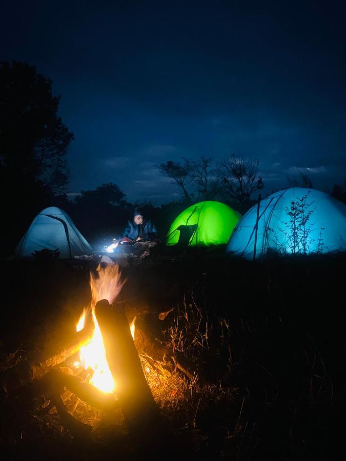 다람샬라 Dreamwoods A Travellers Farm 호스텔 외부 사진